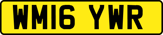 WM16YWR