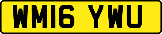 WM16YWU