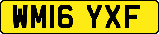 WM16YXF