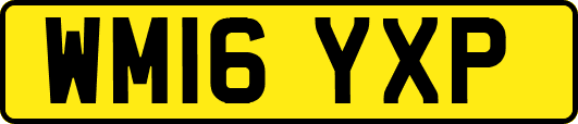 WM16YXP
