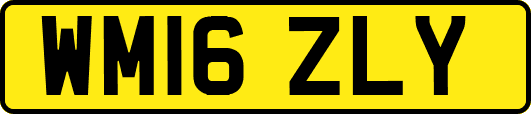 WM16ZLY