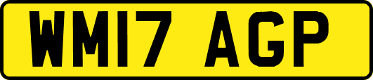 WM17AGP
