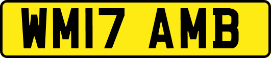 WM17AMB