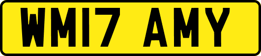 WM17AMY