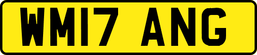 WM17ANG