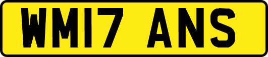WM17ANS