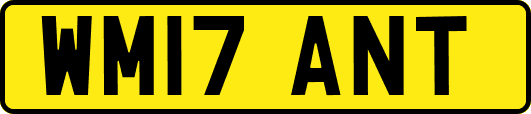 WM17ANT