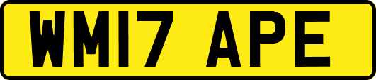WM17APE
