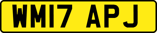 WM17APJ