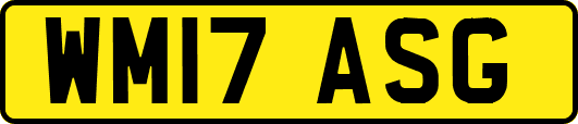 WM17ASG