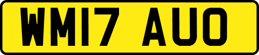 WM17AUO
