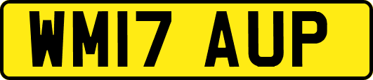 WM17AUP