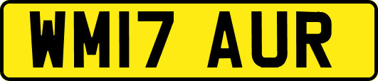 WM17AUR