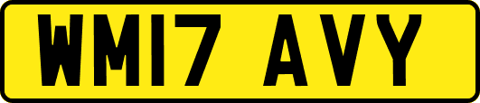 WM17AVY