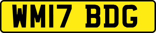 WM17BDG