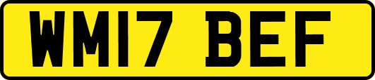 WM17BEF