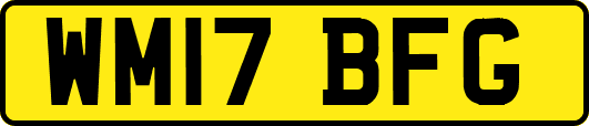 WM17BFG