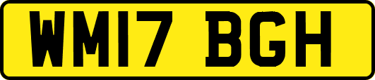 WM17BGH
