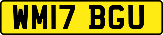 WM17BGU