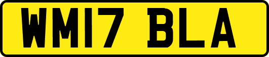 WM17BLA