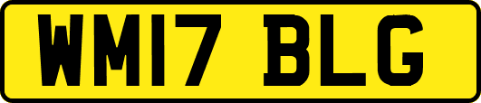 WM17BLG