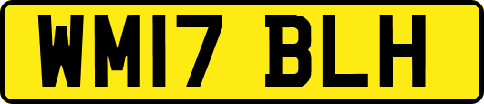 WM17BLH