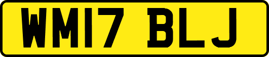 WM17BLJ