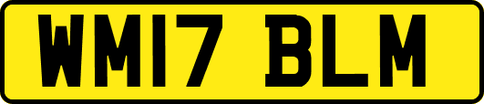 WM17BLM