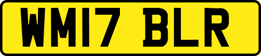 WM17BLR