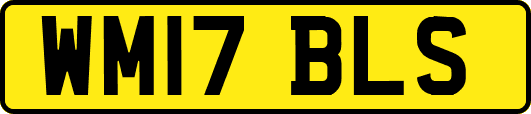 WM17BLS