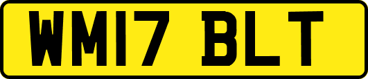 WM17BLT