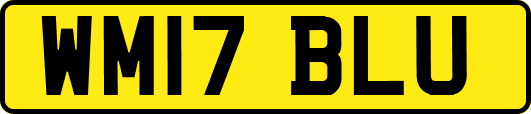 WM17BLU