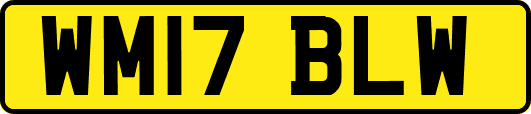 WM17BLW