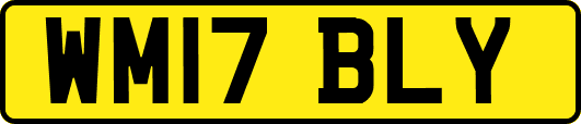 WM17BLY