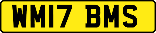 WM17BMS