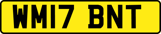 WM17BNT