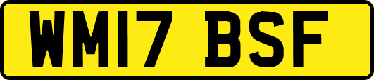 WM17BSF