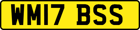 WM17BSS