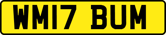 WM17BUM