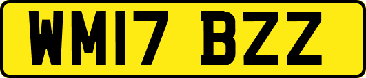 WM17BZZ