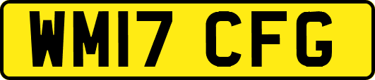 WM17CFG