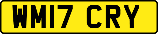 WM17CRY