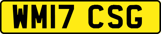 WM17CSG