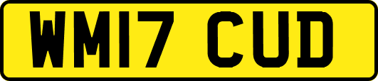WM17CUD