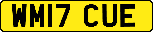 WM17CUE
