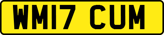 WM17CUM