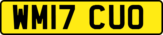 WM17CUO