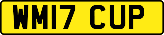 WM17CUP