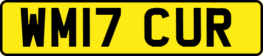WM17CUR