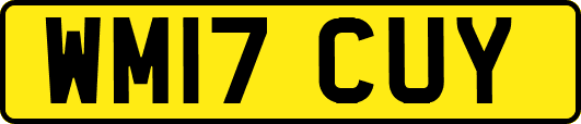 WM17CUY